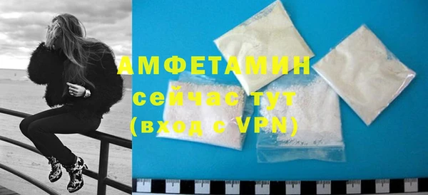 индика Богородск