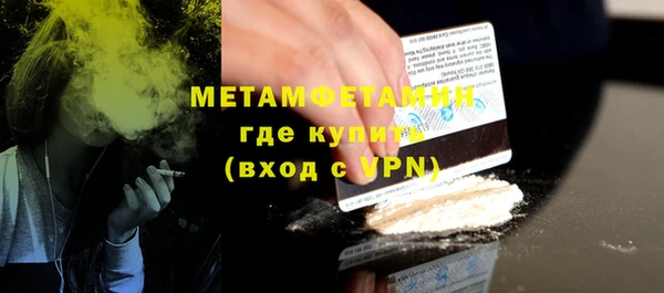 индика Богородск