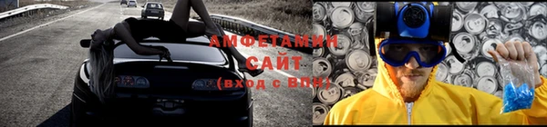индика Богородск