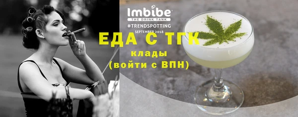 индика Богородск
