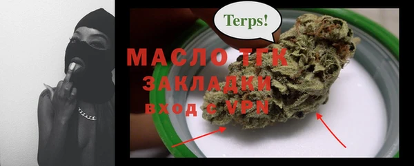 индика Богородск