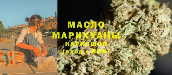 индика Богородск