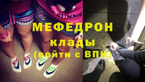 индика Богородск