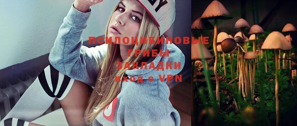 экстази Богородицк