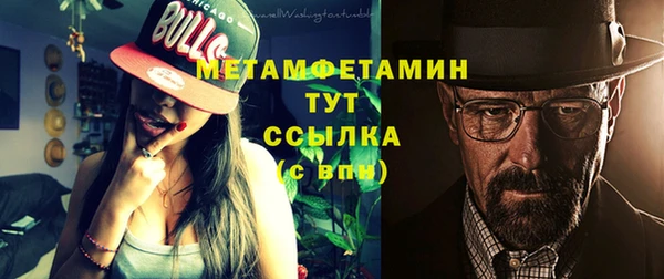 индика Богородск