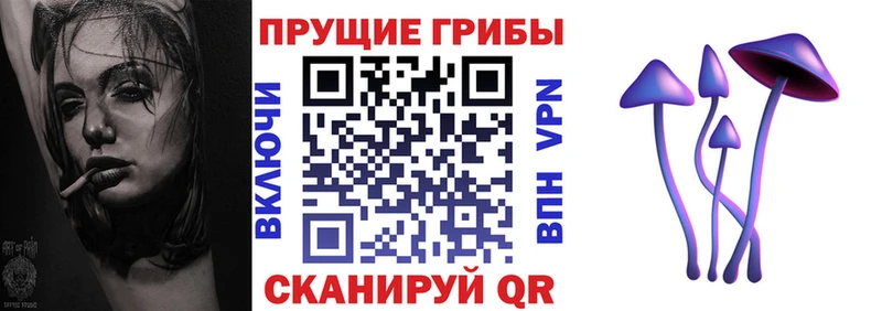 гидра tor Мензелинск Псилоцибиновые грибы прущие грибы